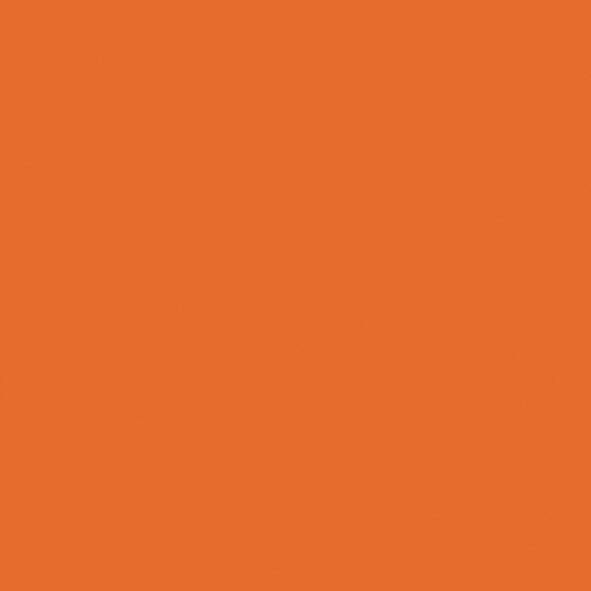 S027_Orange